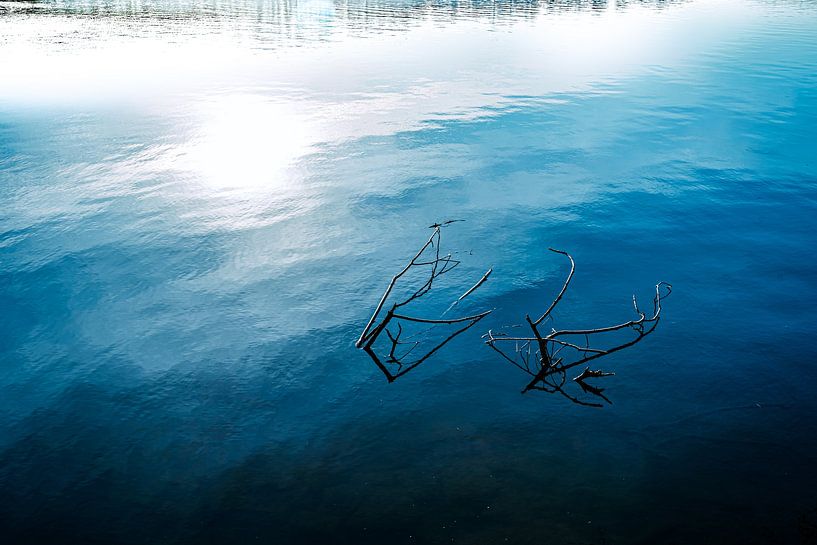 Zicht op blauw meer met tegenlicht van takken abstract van Dieter Walther