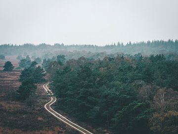 Dämmerung über der Veluwe von Mick van Hesteren