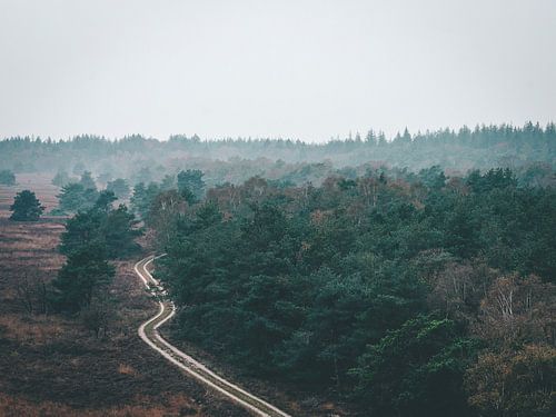 Dawn over the Veluwe