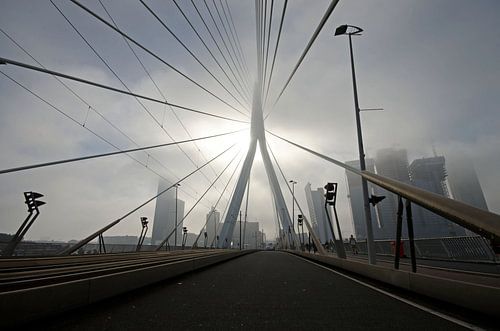 Fogged up Erasmusbridge