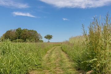 Groningen und Drenthe Veenkoloniën von Johan Mooibroek