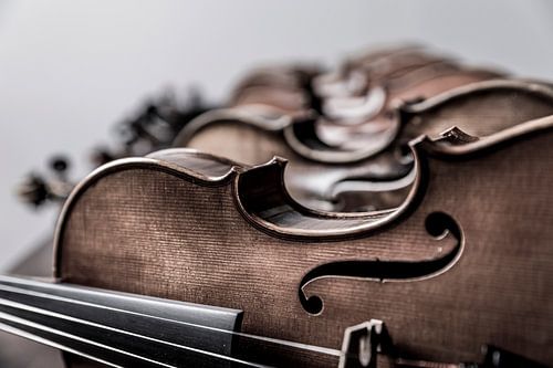 Violins close-up