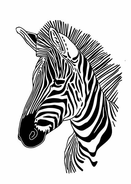 Lines art animal zebra by JBJart Justyna Jaszke