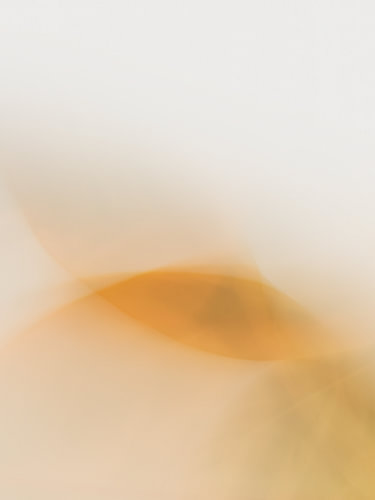 Pflanze Abstrakt II