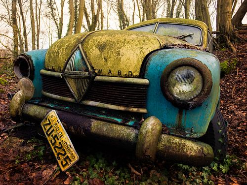 Borgward Hansa Oldtimer in the forest by Art By Dominic
