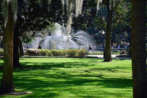 Rijdend langs Forsyth Park