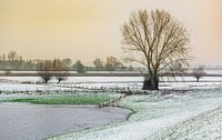 Winter landscape
