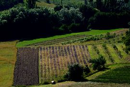 PROVENCE 7 by Miroslav Ptacek