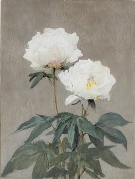 Weiße Pfingstrosen in ruhiger, sanfter Malweise