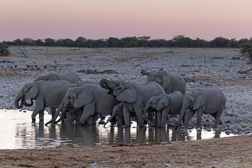Etosha National Park - Okaukuejo Water Hole