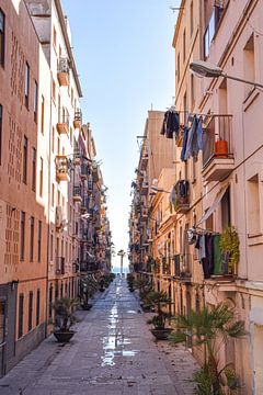 Living in Valetta von Matthias Spartz