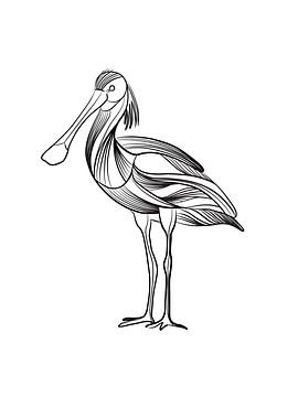 Poster spoonbill - illustration au trait fin - noir et blanc - oiseau sur Studio Tosca