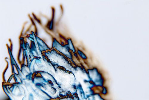 Abstraktie van Ding #003d