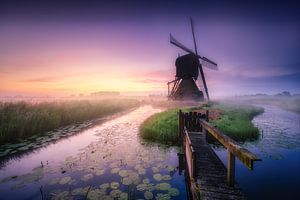 Moulin de Noordeveld