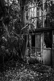 Potato flour factory Ter Apel by Marga Vroom