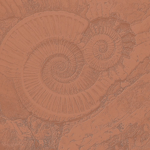 Fossilien Relikte der Urzeit von AidasignArt