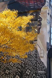 Wandbild-Königinnen von Tineke Visscher