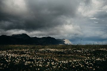 Iceland II by Nina Crebas