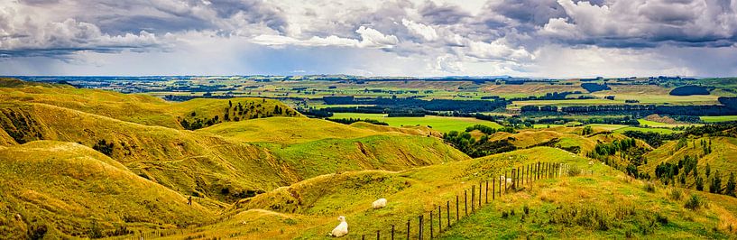 Panorama north island, new zealand by Rietje Bulthuis