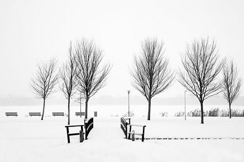 Winter aan de Kralingse Plas