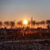 Zonsopkomst tussen de velden in Walcheren van Percy's fotografie