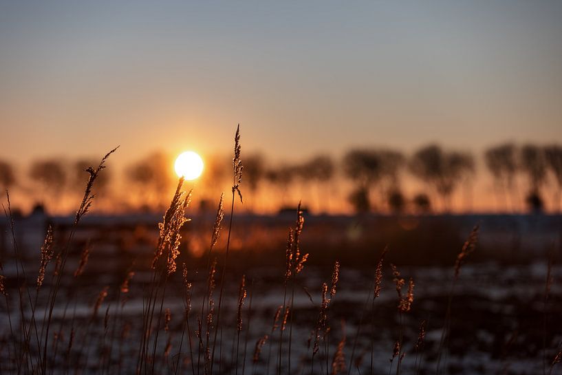 Zonsopkomst tussen de velden in Walcheren van Percy's fotografie