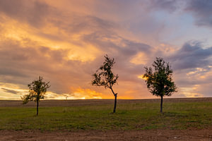 Prachtvolle Farben am Rhein