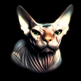 Low key portrait of a Sphynx cat with green eyes and tear on his cheek