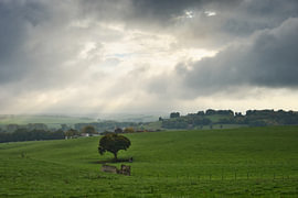 Licht über der offenen Landschaft