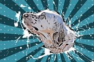 Dog by Stephan Zaun thumbnail