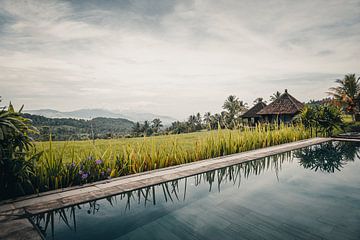 Vues tropicales authentiques à Bali, Indonésie sur Troy Wegman