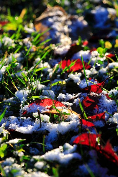 Erster Schnee von Thomas Jäger