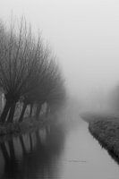 Mist