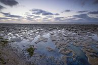 De Waddenkust bij Wierum par Elroy Spelbos Fotografie Aperçu