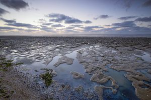 De Waddenkust bij Wierum sur Elroy Spelbos Fotografie