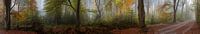 Panorama Beetsterzwaag mist herfst