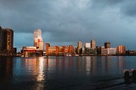 Skyline von Rotterdam von Dayenne van Peperstraten Miniaturansicht