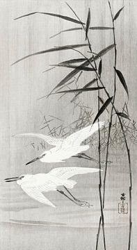 Two egrets in flight (1900 - 1936) by Ohara Koson van Studio POPPY