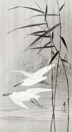Two egrets in flight (1900 - 1936) by Ohara Koson