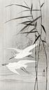 Two egrets in flight (1900 - 1936) by Ohara Koson by Studio POPPY thumbnail