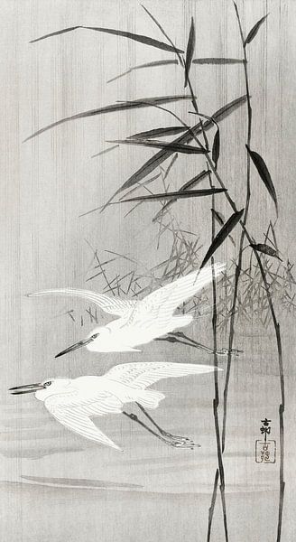 Two egrets in flight (1900 - 1936) by Ohara Koson by Studio POPPY