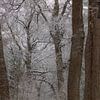 Hiver, neige dans le Wilgenhof de Beetsterzwaag Opsterland Friesland sur Ad Huijben