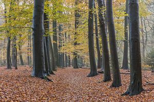 Kronendomäne Het Loo 3