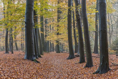 Het Loo crown estate 3