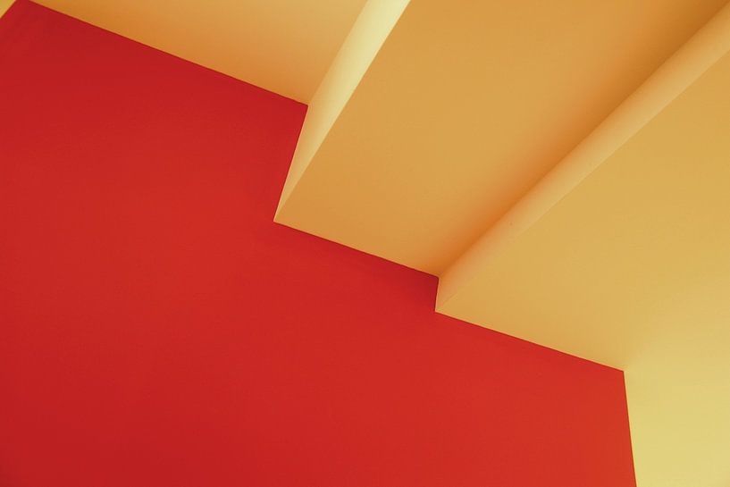 Red &amp; Yellow. by JRobert Photography