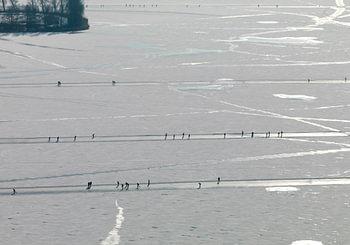 Schaatsers op de Loosdrechtse plassen