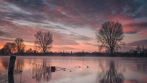 Frühmorgendliche Reflexionen