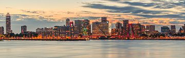 Panorama Rotterdam Skyline van Chandu Srirangam