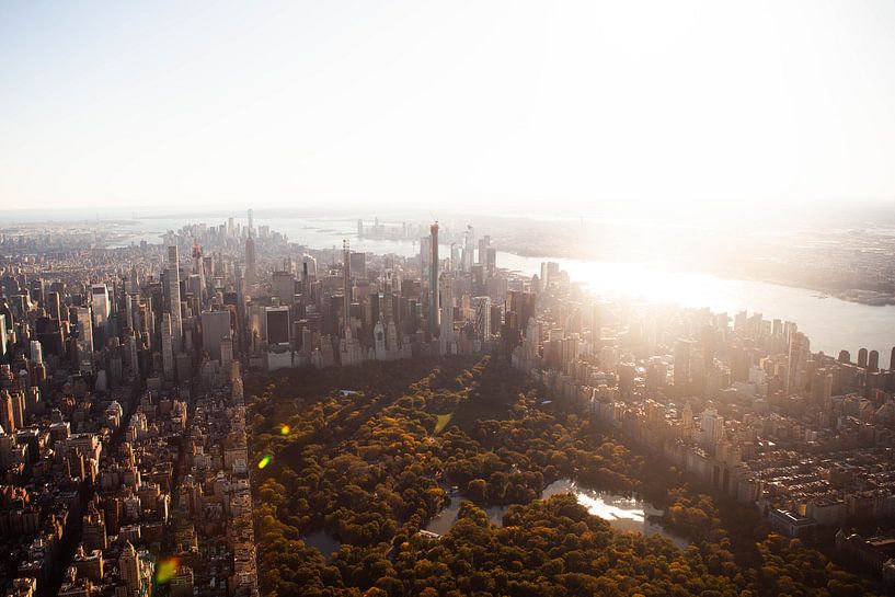 Central Park by Diana Vellema