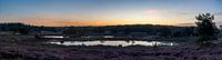 Panoramablick auf den Sonnenaufgang über dem Quin bei Afferden